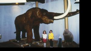 Large, life size of a Mastodon which looks like a furry elephant with large white tusks. Two small children stand and pose next to it.