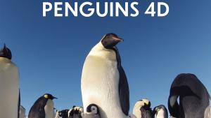 Large adult penguin stands against a blue sky with a fuzzy baby penguin in front of it.