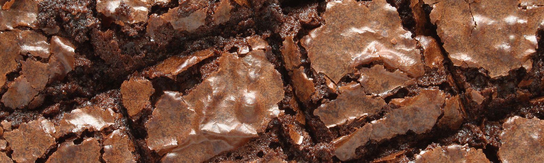 Close up tray of brownies cut into squares