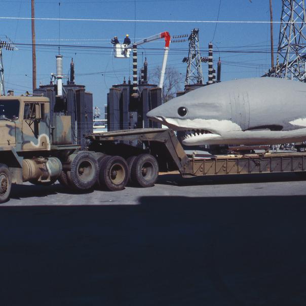 Giant Megalodon replica sits on the back on a National Guard flatbed truck in a parking area