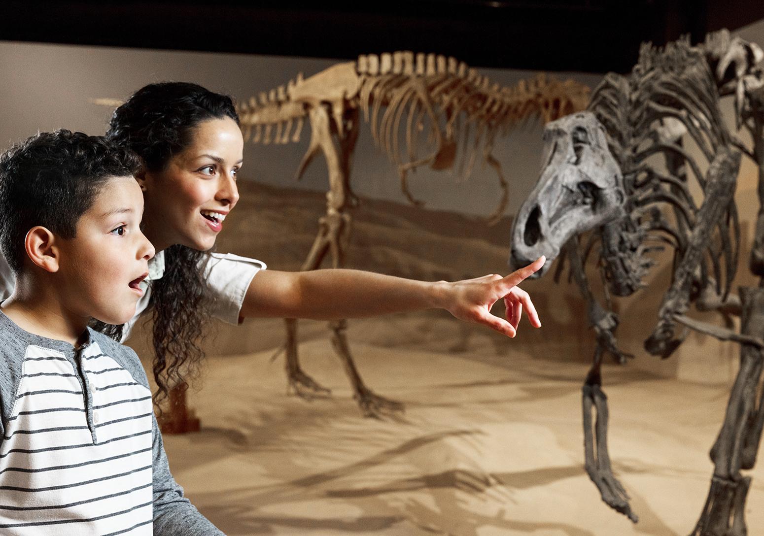 South Carolina State Museum, Dinosuar, South Carolina, Family, Things to Do, Columbi